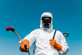 Best Ant Control  in Dunlap, IL